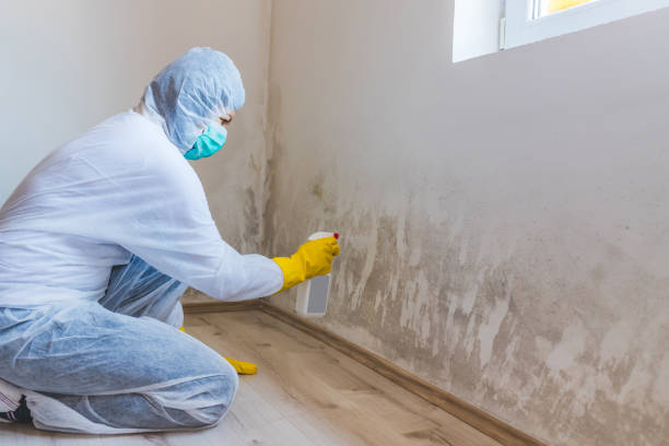 Licensed Mold Inspection And Testing service in Harrison, NJ - Mold Remediation HQ