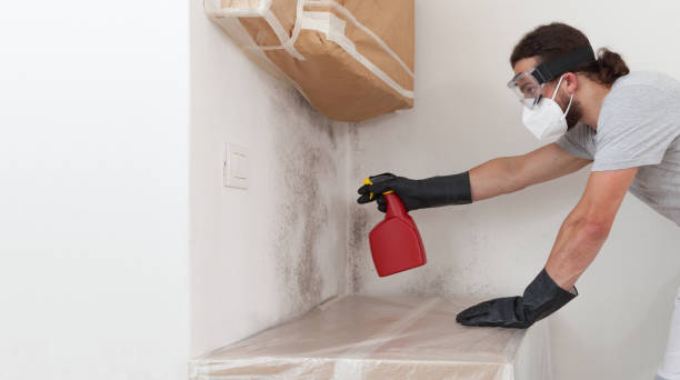 Professional Mold Inspection And Testing technician working in Harrison, NJ