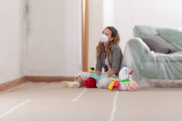 Reliable Mold Inspection And Testing contractor in Harrison, NJ by Mold Remediation HQ